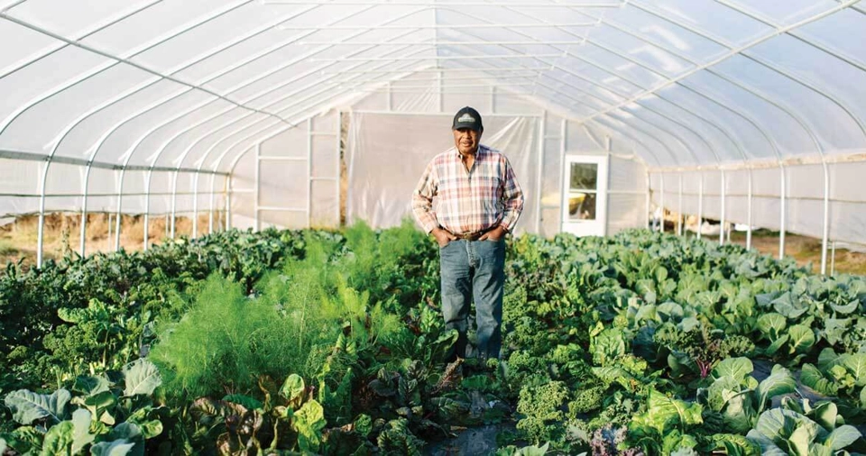 Image of The Beauty in a Local Supply Chain