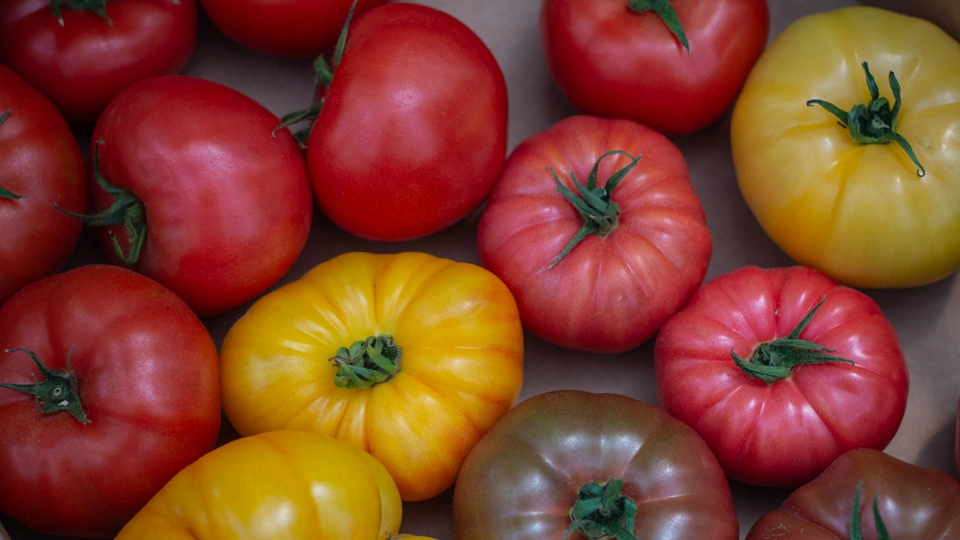 Image of July Produce Abundance