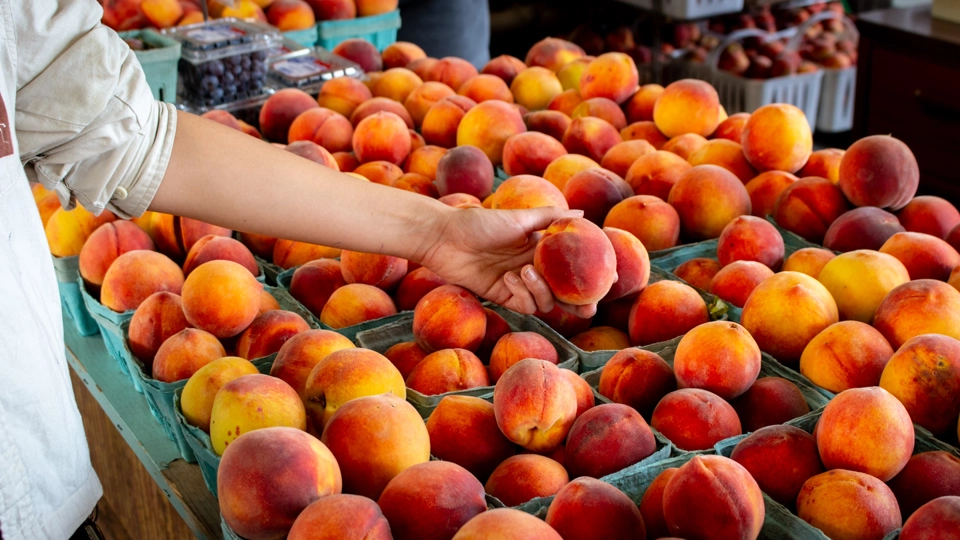 Image of TPB vs. Farmers' Market