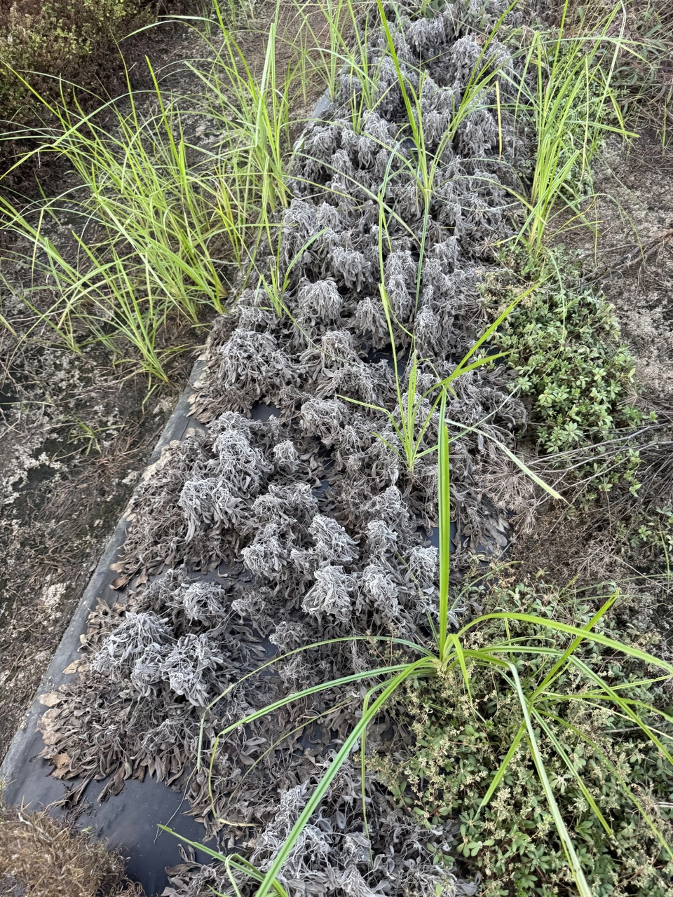 Image of The Importance of Referrals: Our Local Farmers Need Us