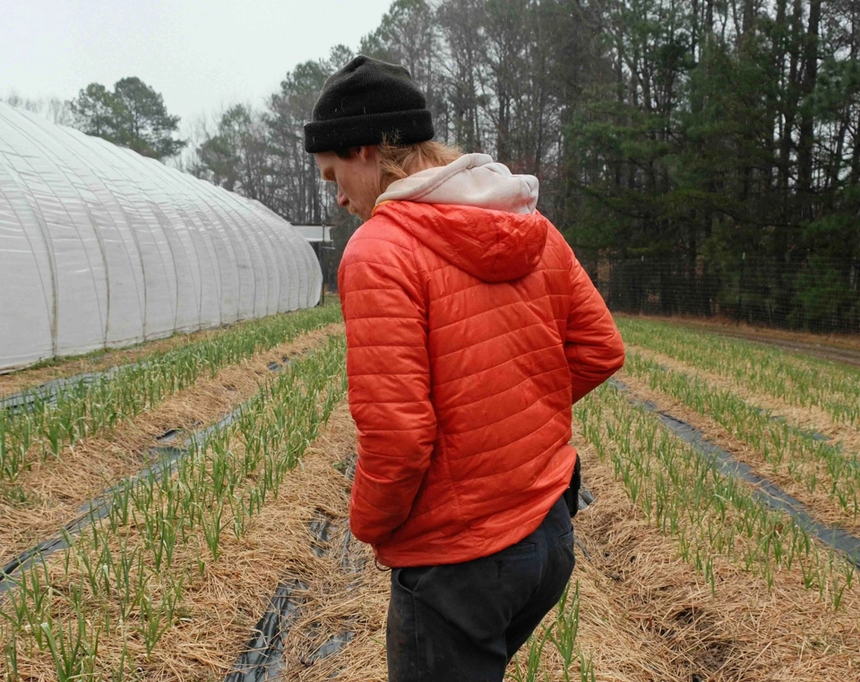 Image of From Red's Quality Acre to Your Door: Sustainable Farming in Durham